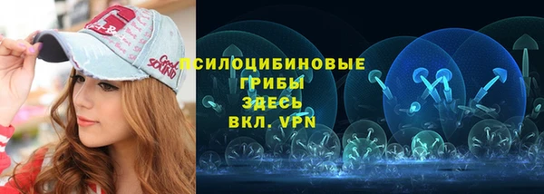 PSILOCYBIN Белоозёрский