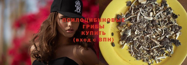 первитин Белокуриха
