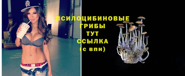 PSILOCYBIN Белоозёрский