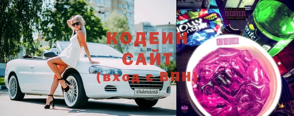 прущие грибы Богданович