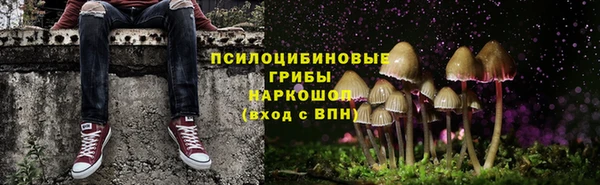PSILOCYBIN Белоозёрский
