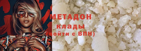 прущие грибы Богданович