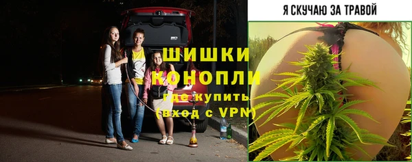 PSILOCYBIN Белоозёрский